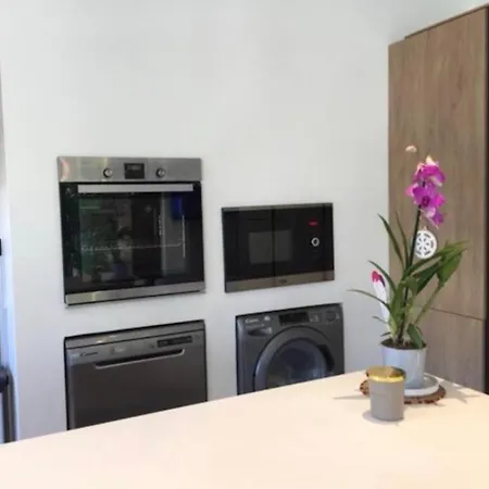 Duplex With Garden In Palm Croisette Apartment Cannes